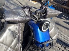 -小牛电动体验·租电动车(德胜门店)