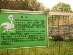 -清风小镇闯关东影视基地