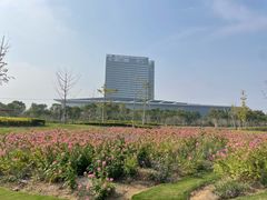 -春花秋色城市公园