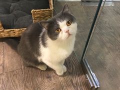 -小时光咖啡馆(开森度假森林店)