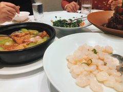 -圆苑(静安寺店)