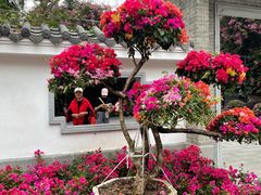 -广州市白云山风景名胜区