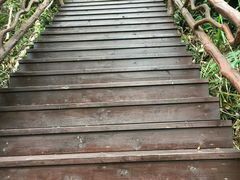 -七仙岭温泉国家森林公园