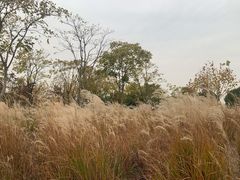 -上海山野camping·户外天幕烧烤·团建拓展营地