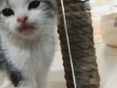 -乐宠宠物店(世纪金源店)