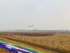 -空港花田景区