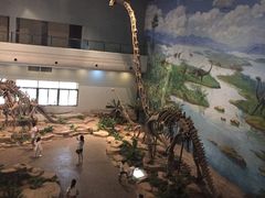 -自贡恐龙博物馆