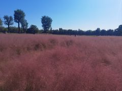 -汉长安城未央宫国家考古遗址公园