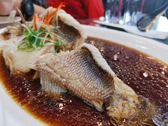 清蒸鲈鱼-鸿运楼烤鸭店(天桥店)