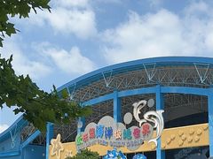 -泉城欧乐堡海洋极地世界