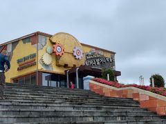 -信不信由你博物馆