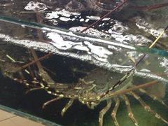iphone_upload_pic-班赞海鲜市场