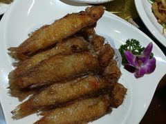 -金穗园·砂锅粥.醉鸡煲火锅(长寿路店)