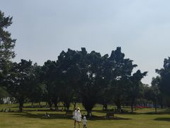 -东莞植物园