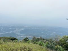 -黄埔油麻山森林公园