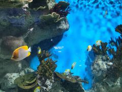 -福州罗源湾海洋世界旅游区