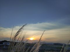 -南澳海滩