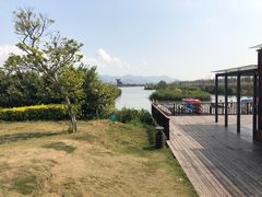 -芒洲湿地公园