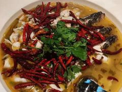 -渔见·精品川菜·老坛酸菜鱼(大朗店)