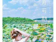 -丁香湖公园