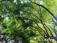 -吾介小籠館