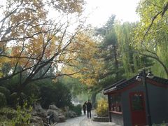 -紫竹院公园冰场