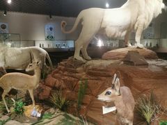 -陕西自然博物馆