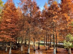-南京市无想山景区