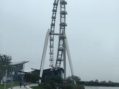-金鸡湖景区