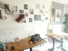 -平行世界·猫咖(首经贸店)
