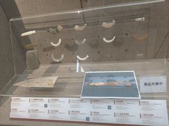 -平原博物院