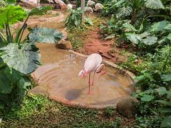 -海南热带野生动植物园