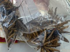 -回收名酒洋酒烟酒冬虫夏草礼品(上海总店)