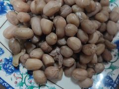 煮花生米-大槐树烤肉馆