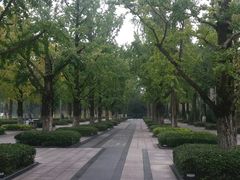 -百林公园-两江幸福广场