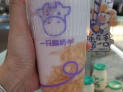 -一只酸奶牛(来福士店)