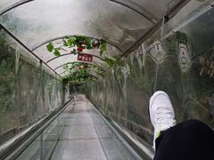 -梅岭月亮湾山体公园