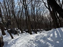 -中旅松花湖滑雪场