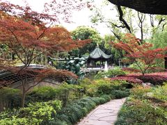 -申粤轩酒楼·三十年粤菜经典(丁香花园店)