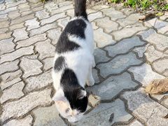 -哈尔滨北方森林动物园