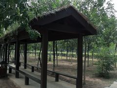 -西青郊野公园