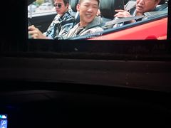 -枫花园汽车电影院(朝阳公园店)