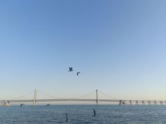 -星海广场