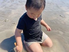 -奉贤海滩