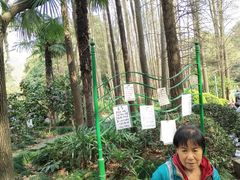 -人民公园-相亲角