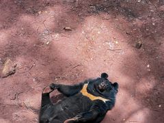 -昆明动物园