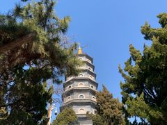 -湛山寺
