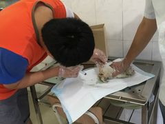 -畜牧兽医站(共江路店)