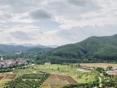 -美的鹭湖森林度假区