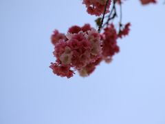 -昆明动物园